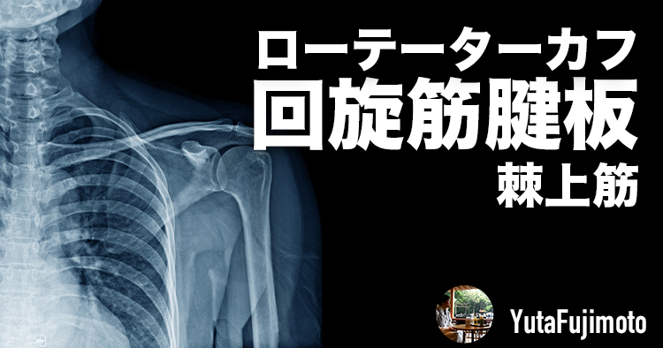 ローテーターカフの基礎―棘上筋編―