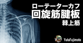 ローテーターカフの基礎―棘上筋編―