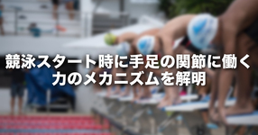 競泳スタート時に手足の関節に働く力のメカニズムを解明