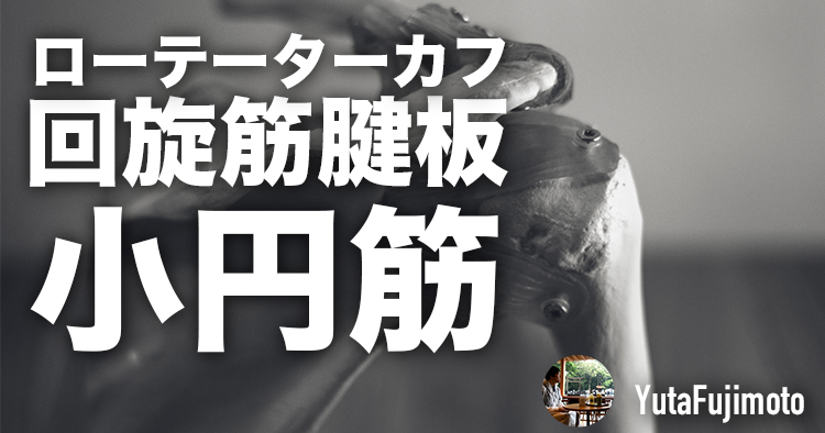 ローテーターカフの基礎―小円筋編―