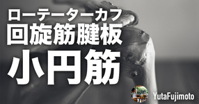 ローテーターカフの基礎―小円筋編―