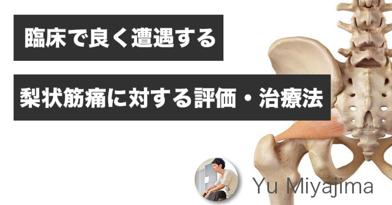 臨床で良く遭遇する「梨状筋痛」に対する評価・治療法 | 理学療法士