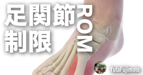 【ROM】足関節背屈制限