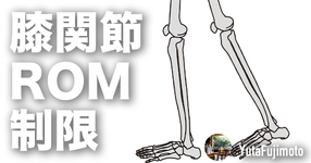 【膝関節可動域制限】膝蓋上嚢の基礎