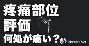 【疼痛“部位”の評価】どこが痛いかを把握する意義
