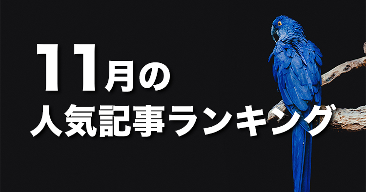 【11月】に一番読まれた記事はこれだ