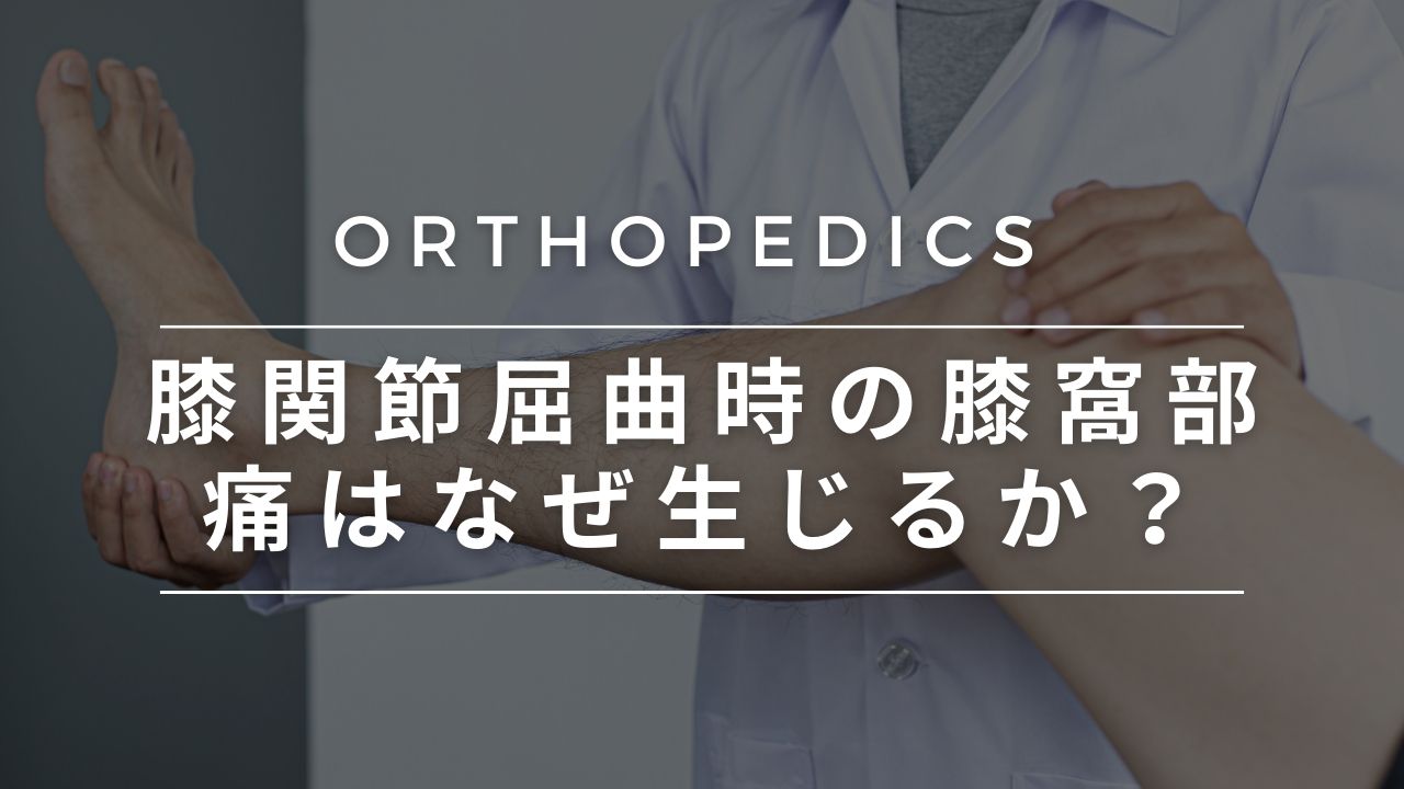 膝関節屈曲時の膝窩部痛はなぜ生じるか？