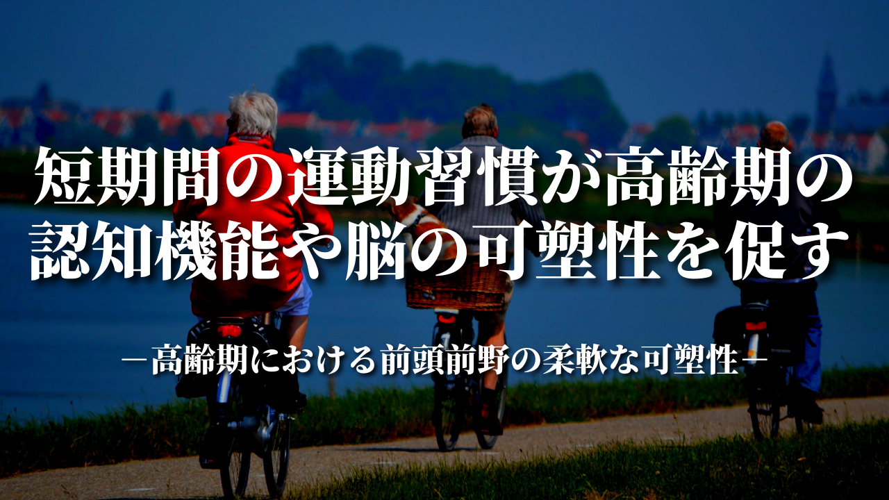 短期間の運動習慣が高齢期の認知機能や脳の可塑性を促す －高齢期における前頭前野の柔軟な可塑性－