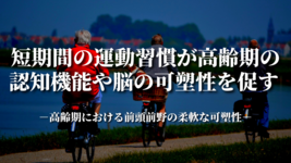 短期間の運動習慣が高齢期の認知機能や脳の可塑性を促す －高齢期における前頭前野の柔軟な可塑性－
