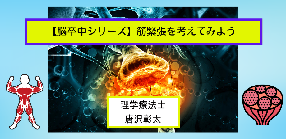 【脳卒中シリーズ】筋緊張異常を考えてみよう