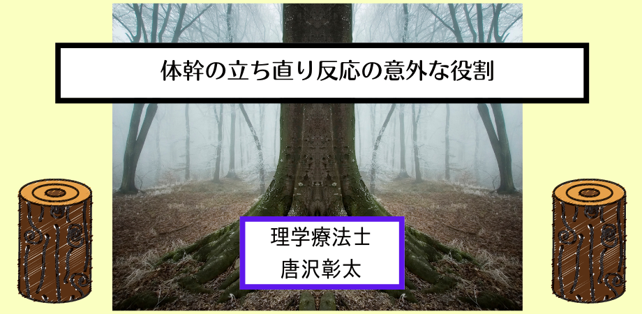 体幹の立ち直り反応の意外な役割