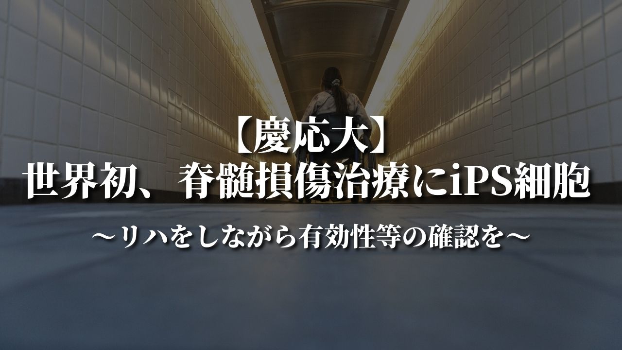 【慶応大】世界初、脊髄損傷治療にiPS細胞｜リハをしながら有効性等の確認を