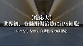 【慶応大】世界初、脊髄損傷治療にiPS細胞｜リハをしながら有効性等の確認を