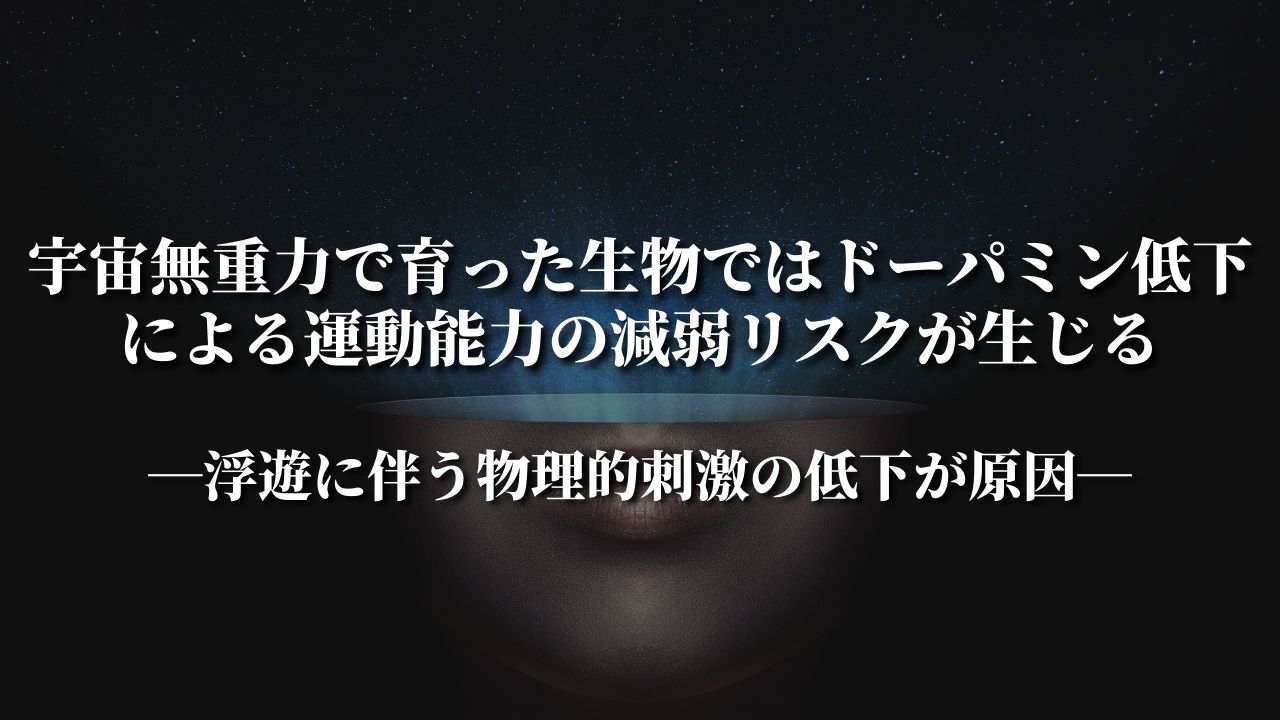 宇宙無重力で育った生物ではドーパミン低下による運動能力の減弱リスクが生じる ―浮遊に伴う物理的刺激の低下が原因―