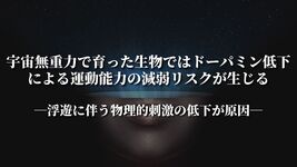宇宙無重力で育った生物ではドーパミン低下による運動能力の減弱リスクが生じる ―浮遊に伴う物理的刺激の低下が原因―