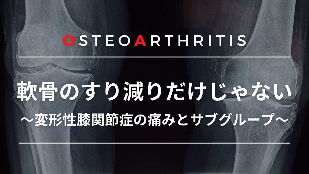 軟骨のすり減りだけじゃない～変形性膝関節症の痛みとサブグループ～