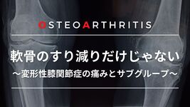 軟骨のすり減りだけじゃない～変形性膝関節症の痛みとサブグループ～