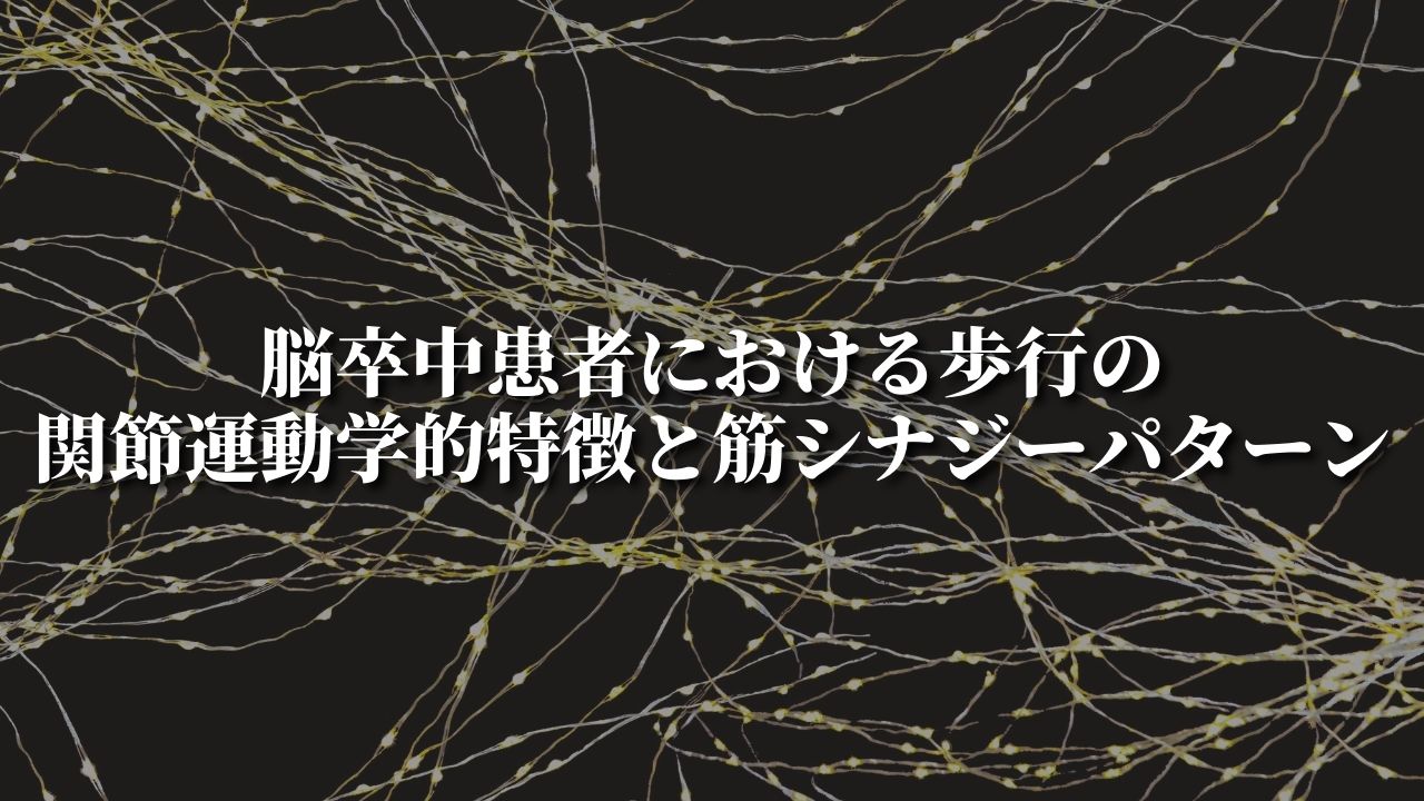 脳卒中患者における歩行の関節運動学的特徴と筋シナジーパターン