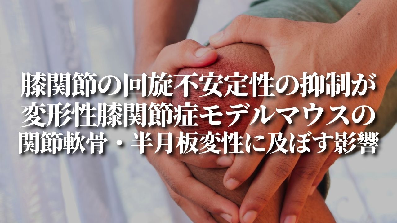 膝関節の回旋不安定性の抑制が変形性膝関節症モデルマウスの関節軟骨・半月板変性に及ぼす影響