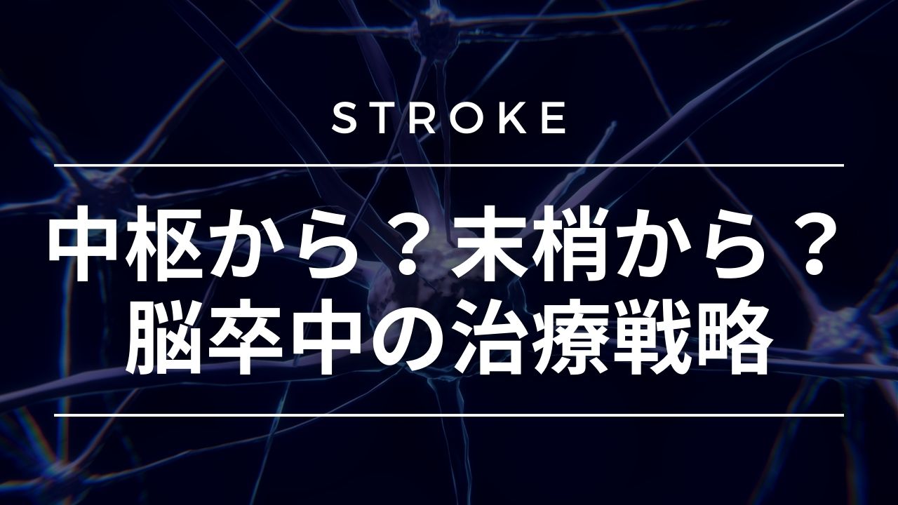 【脳卒中シリーズ】中枢から?末梢から?治療戦略