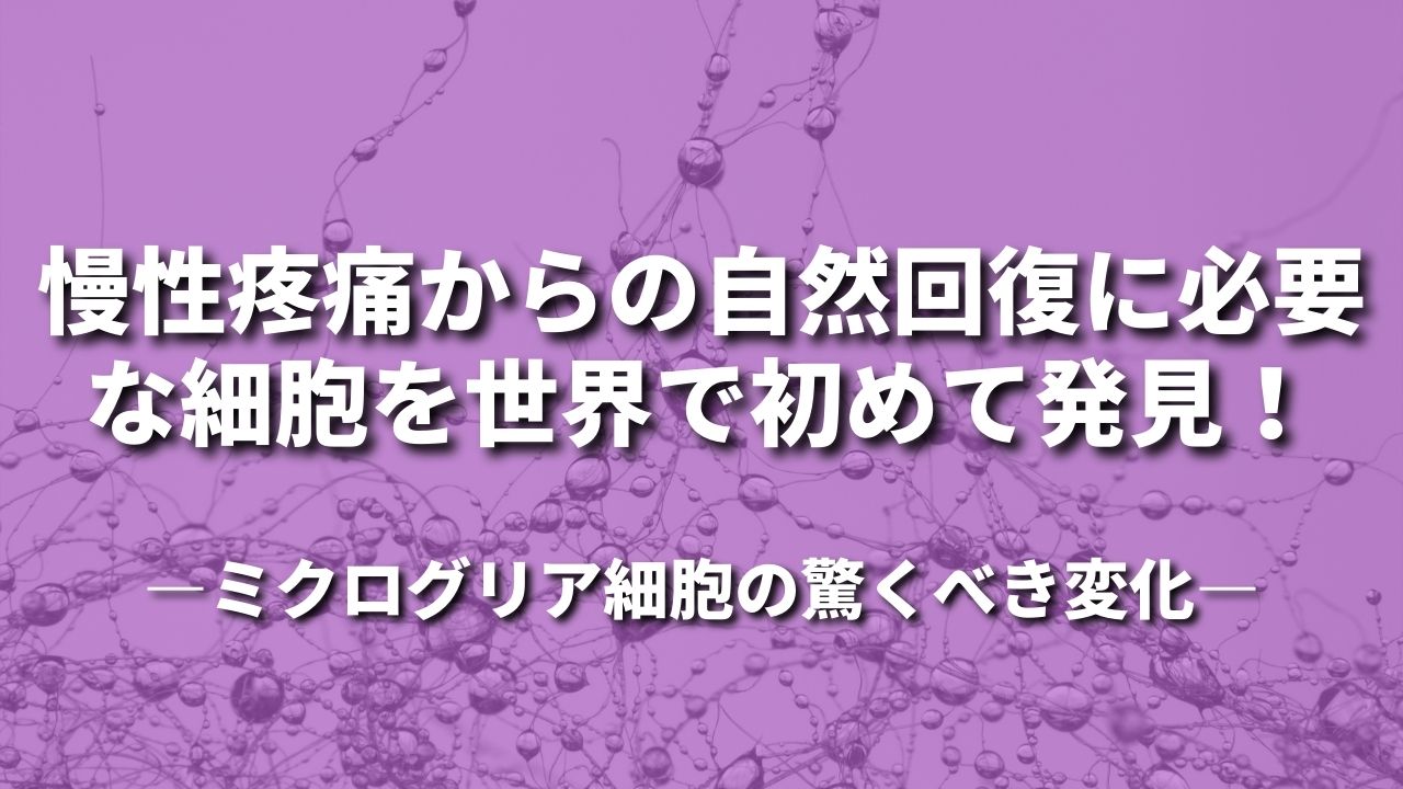 慢性疼痛からの自然回復に必要な細胞を世界で初めて発見! ~ミクログリア細胞の驚くべき変化~