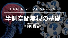 半側空間無視の基礎-前編-