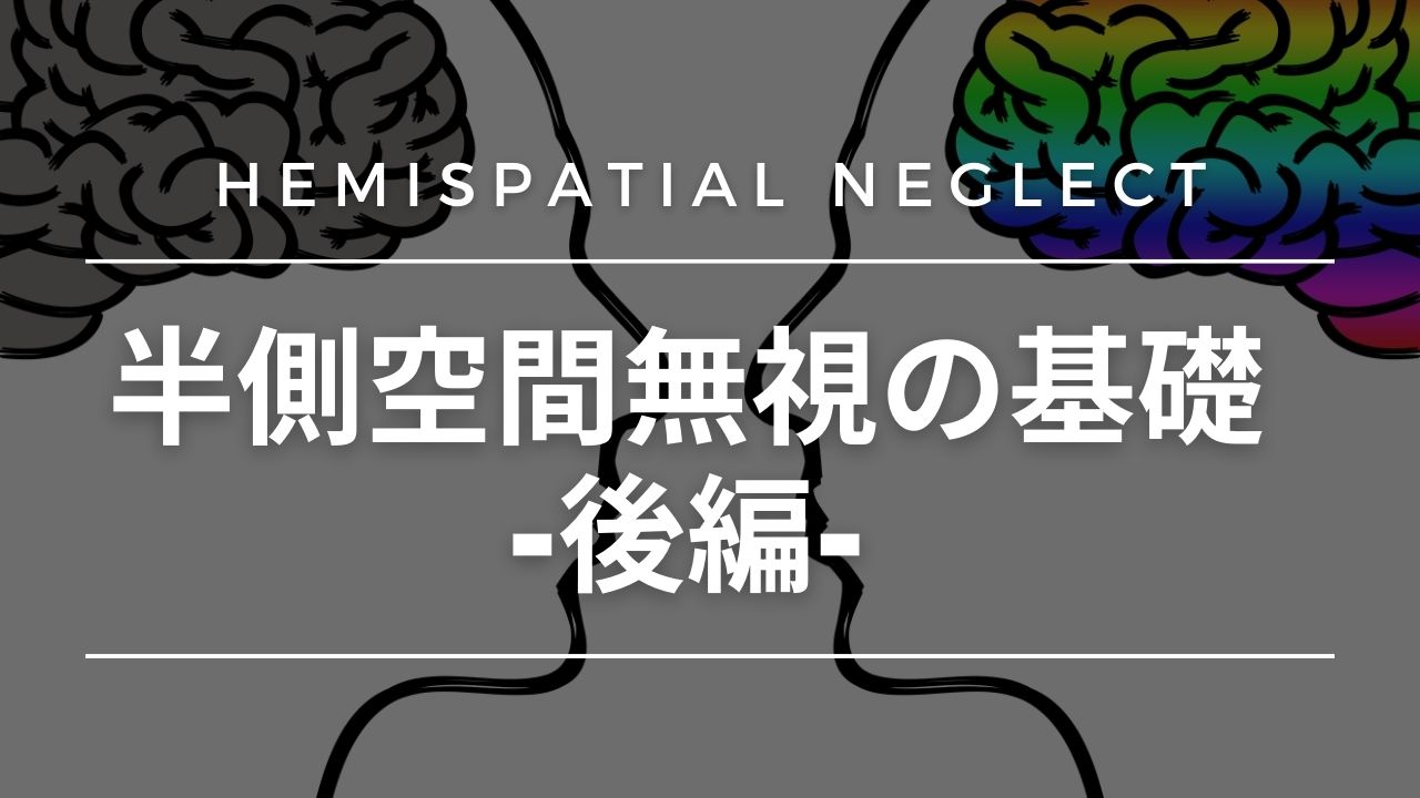 半側空間無視の基礎-後編-