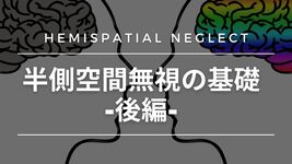半側空間無視の基礎-後編-