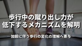 歩行中の蹴り出し力が低下するメカニズムを解明 ―加齢に伴う歩行の変化の理解へ寄与―