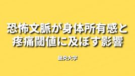 恐怖文脈が身体所有感と疼痛閾値に及ぼす影響