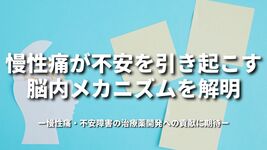 慢性痛が不安を引き起こす脳内メカニズムを解明～慢性痛・不安障害の治療薬開発への貢献に期待～