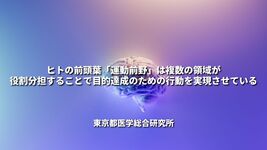 ヒトの前頭葉「運動前野」は複数の領域が役割分担することで目的達成のための行動を実現させている