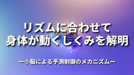 リズムに合わせて身体が動くしくみを解明～小脳による予測制御のメカニズム～