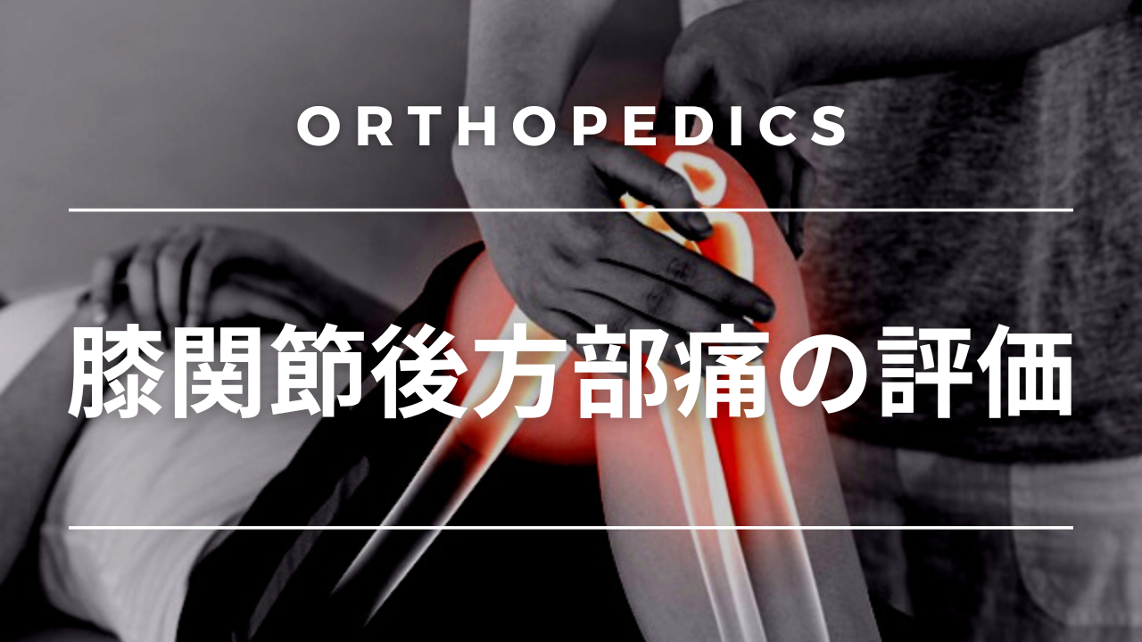 【評価】膝関節後方部痛の評価