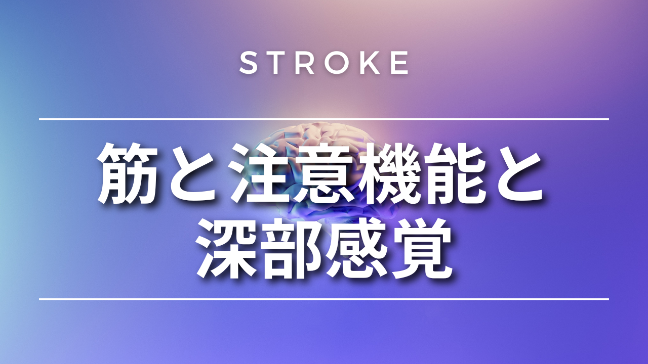 【脳卒中シリーズ】筋と注意機能と深部感覚