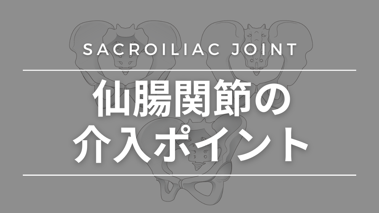 仙腸関節の介入ポイント