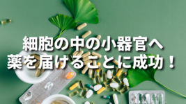 細胞の中の小器官へ薬を届けることに成功！