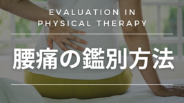 【評価】腰痛の鑑別方法