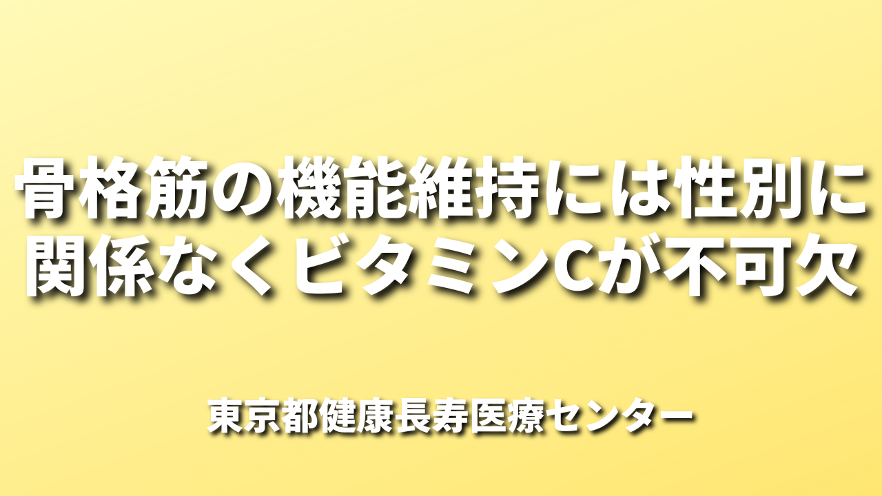 骨格筋の機能維持には性別に関係なくビタミンCが不可欠