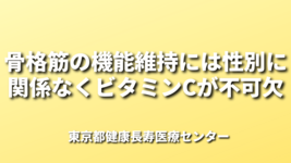 骨格筋の機能維持には性別に関係なくビタミンCが不可欠