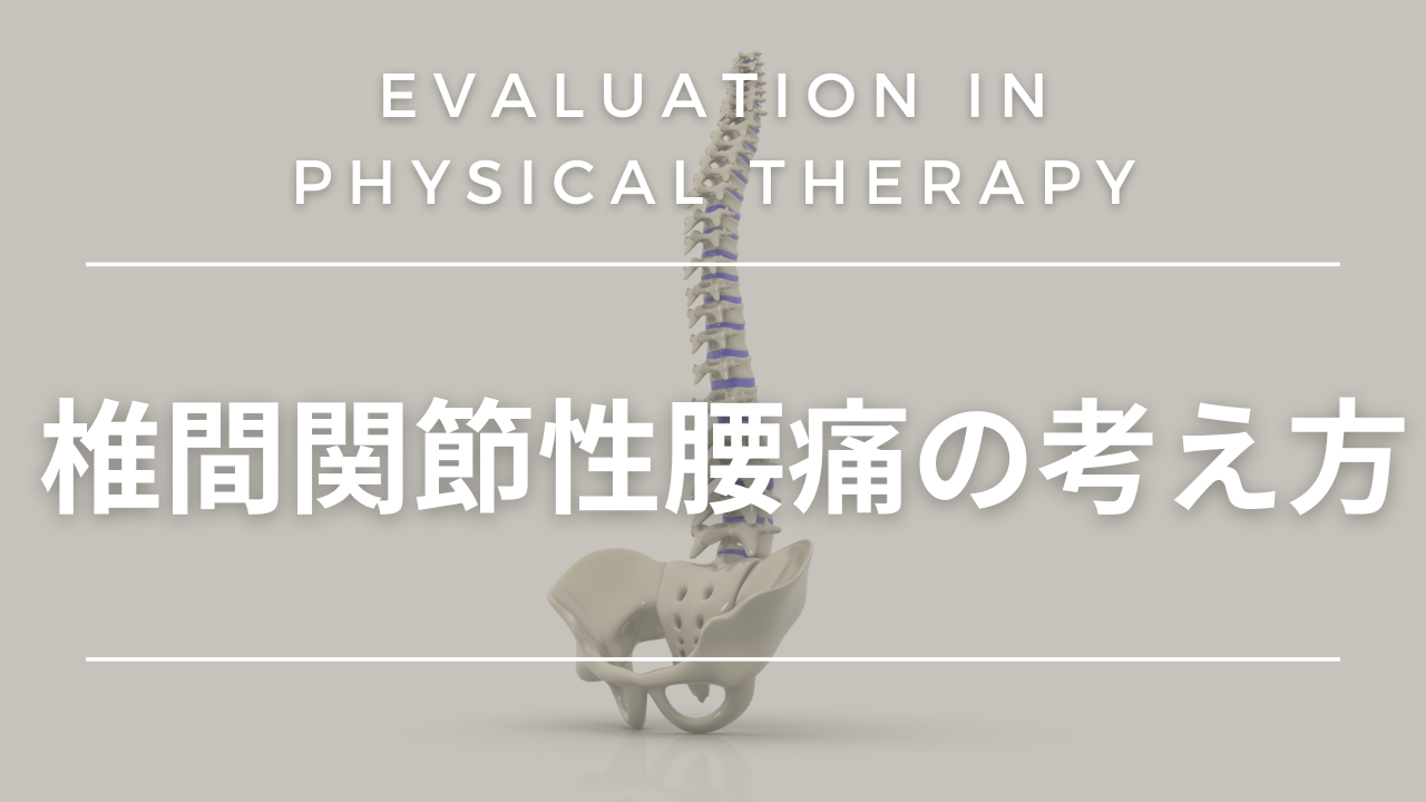 椎間関節性腰痛の考え方