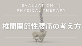 椎間関節性腰痛の考え方