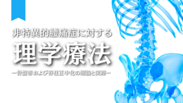 【荒木 秀明】非特異的腰痛症に対する理学療法ー骨盤帯および脊柱正中化の理論と実際ー