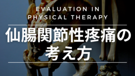 仙腸関節性疼痛の考え方