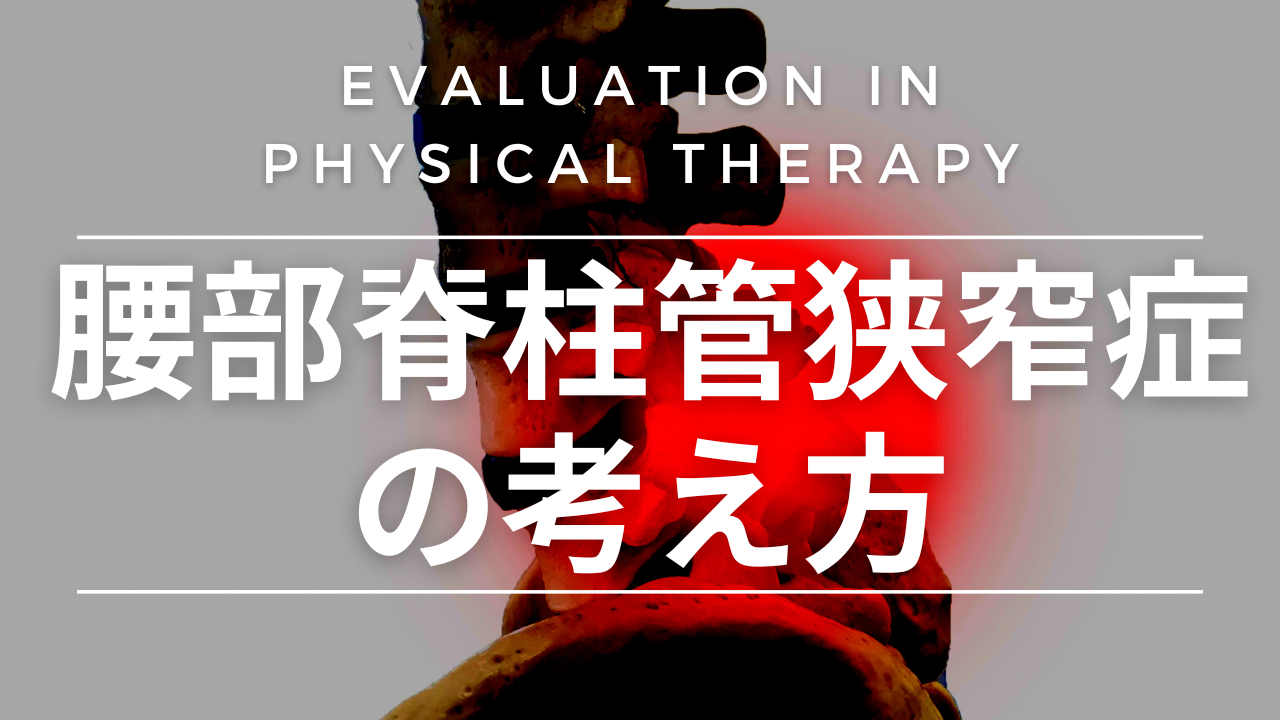 腰部脊柱管狭窄症の考え方