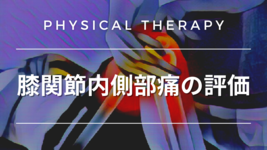【理学療法評価】膝関節内側部痛の評価