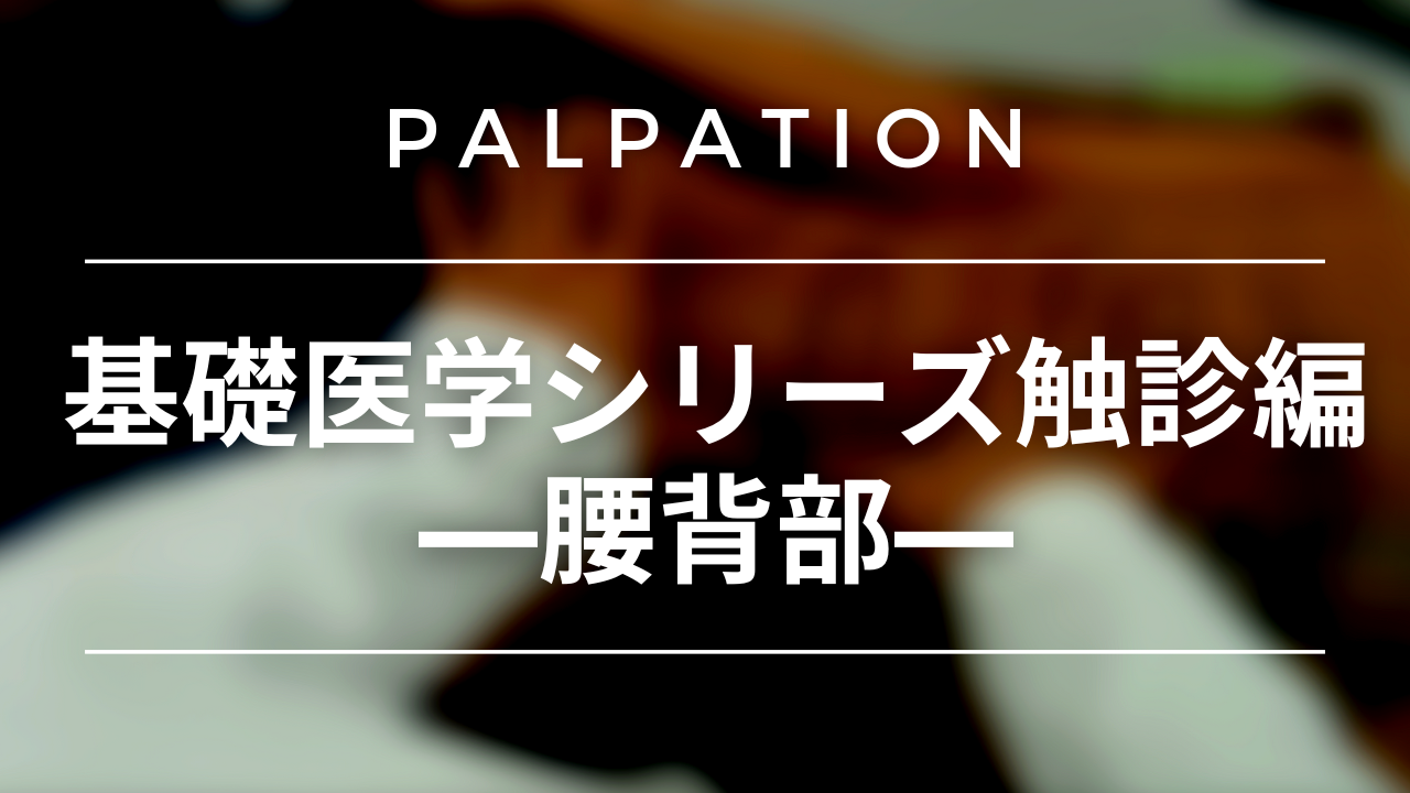 基礎医学シリーズ触診編―腰背部―