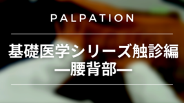 基礎医学シリーズ触診編―腰背部―