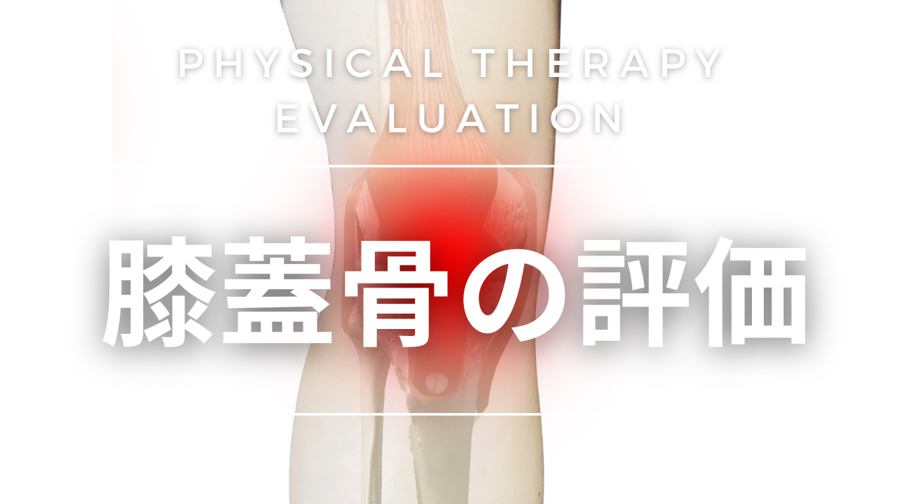【評価】膝蓋骨の評価