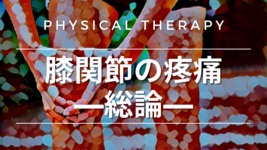 膝関節の疼痛―総論―